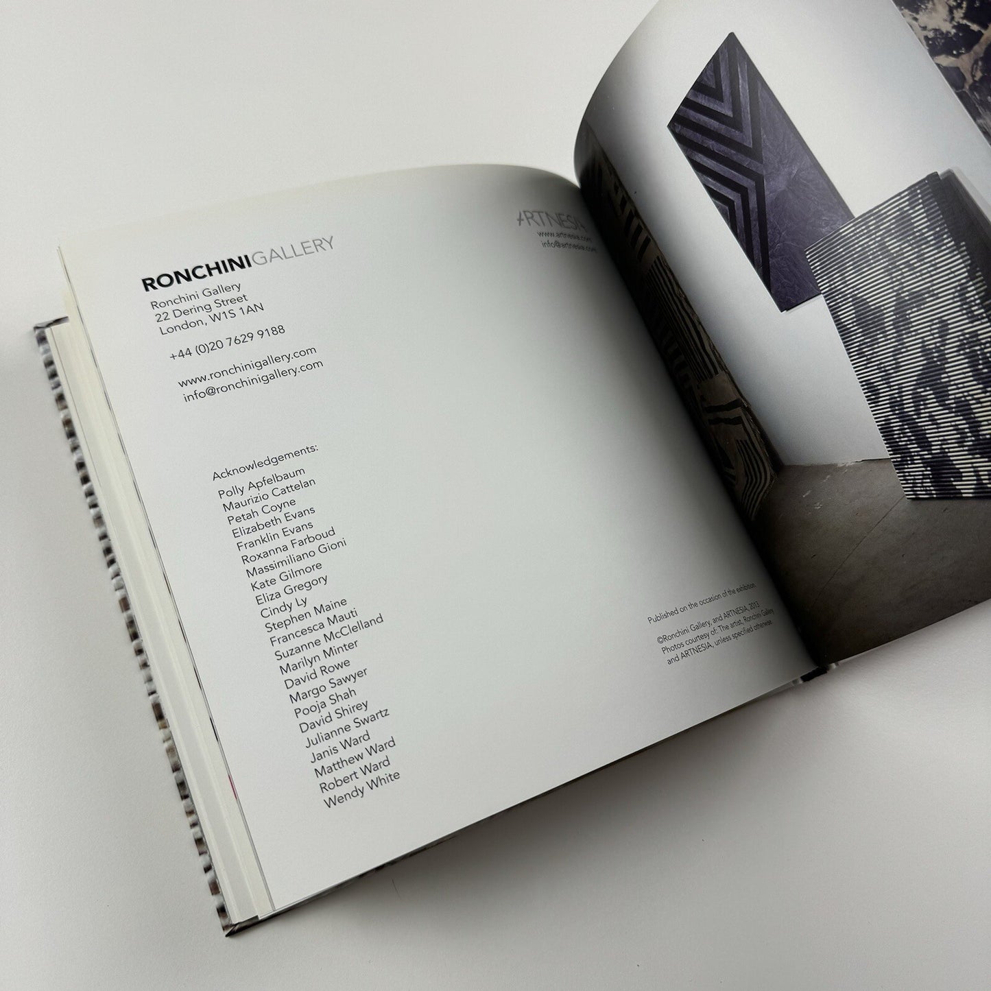 Rebecca Ward. Cow Tipping | Ronchini Gallery / Artnesia 2013 catalogue