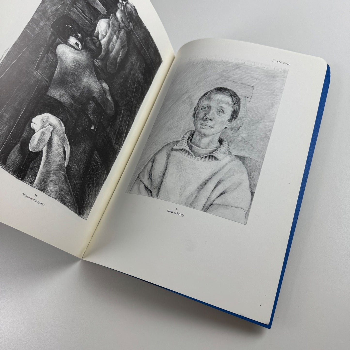 Sarah Raphael. Paintings & Drawings 1989-1991 | Agnew's 1992