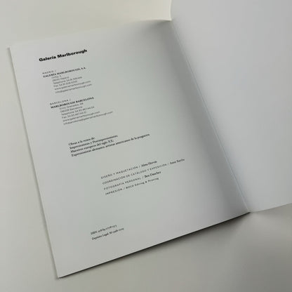 Olivier Dassault. Lumières | Galería Marlborough, Madrid catalogue, 2019/20