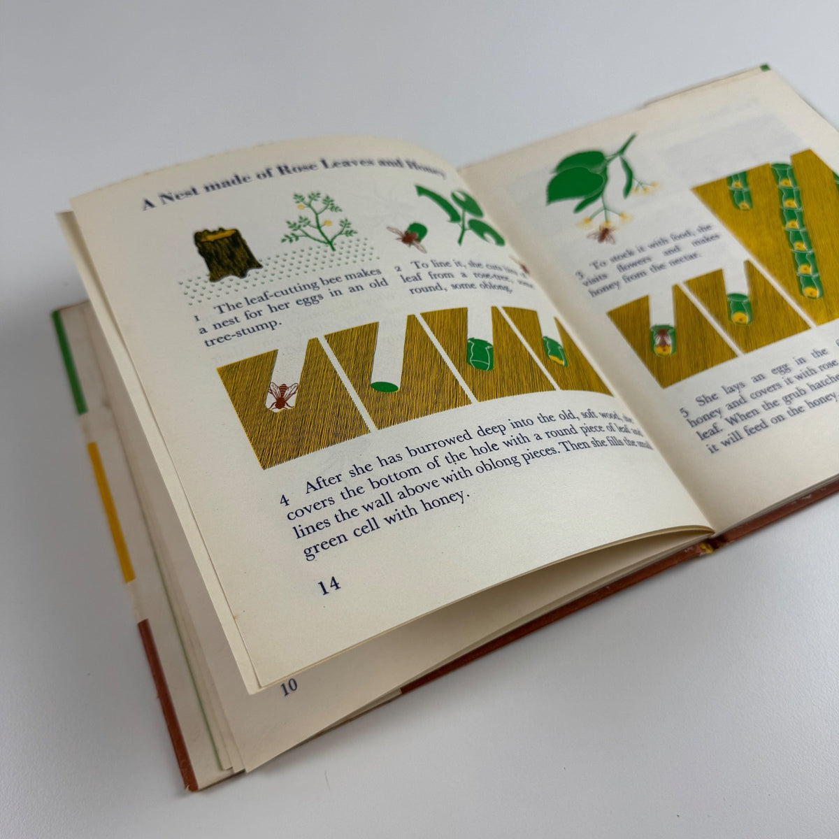 The Wonder World of Insects by Marie Neurath | Max Parrish, 1953 Isotype