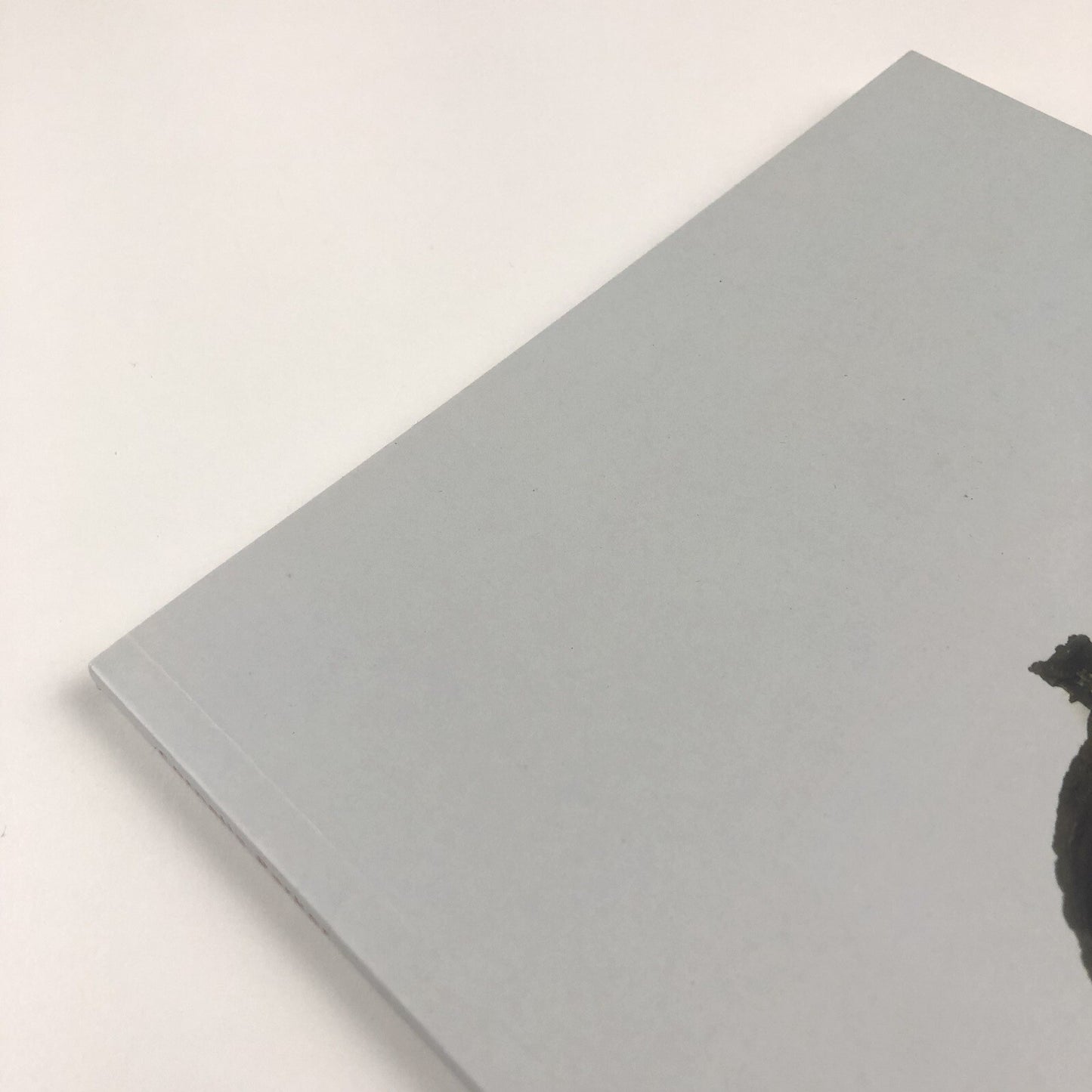 Cornelia Parker: Avoided Object | Foreword by Stuart Cameron 1996