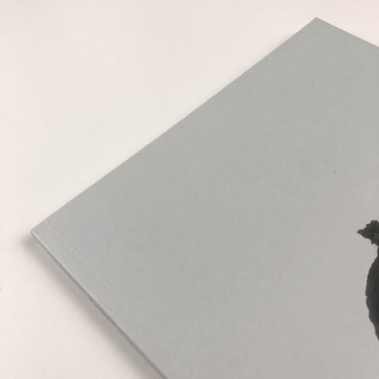 Cornelia Parker: Avoided Object | Foreword by Stuart Cameron 1996