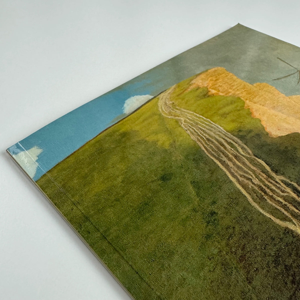 David Inshaw Recent Paintings | Theo Waddington Fine Art, 1998 + price list