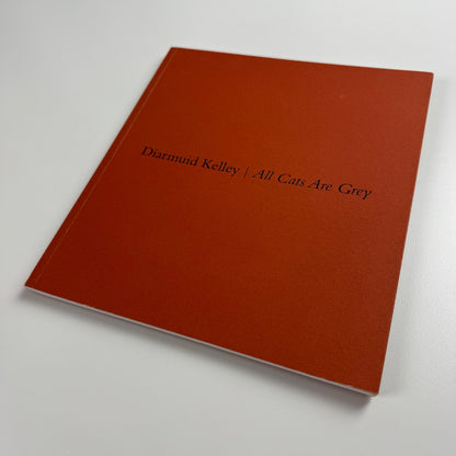 Diarmuid Kelley. All Cats Are Grey | Offer Waterman Gallery, 2014