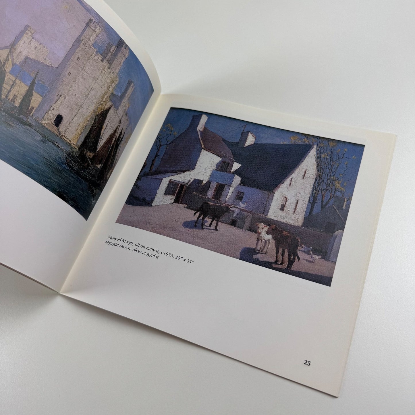 Harry Hughes Williams | Oriel Ynys Môn, 1992