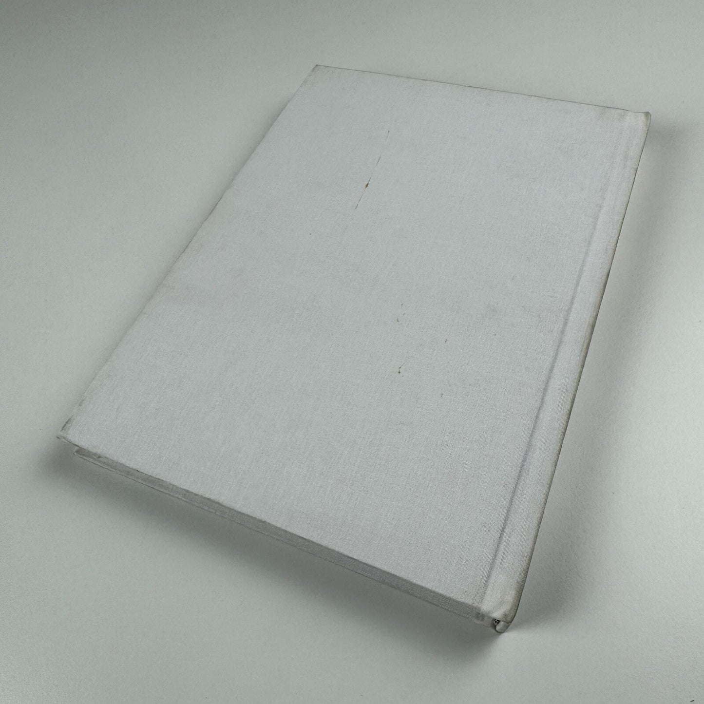 Capitalism and schizophrenia | Stefan Brüggemann | Turner/Galeria de Arte Mexicano, 2004