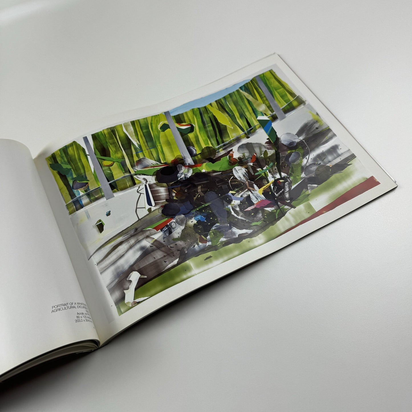 Kristin Baker. Surge and Shadow | Deitch Projects New York 2007 catalogue