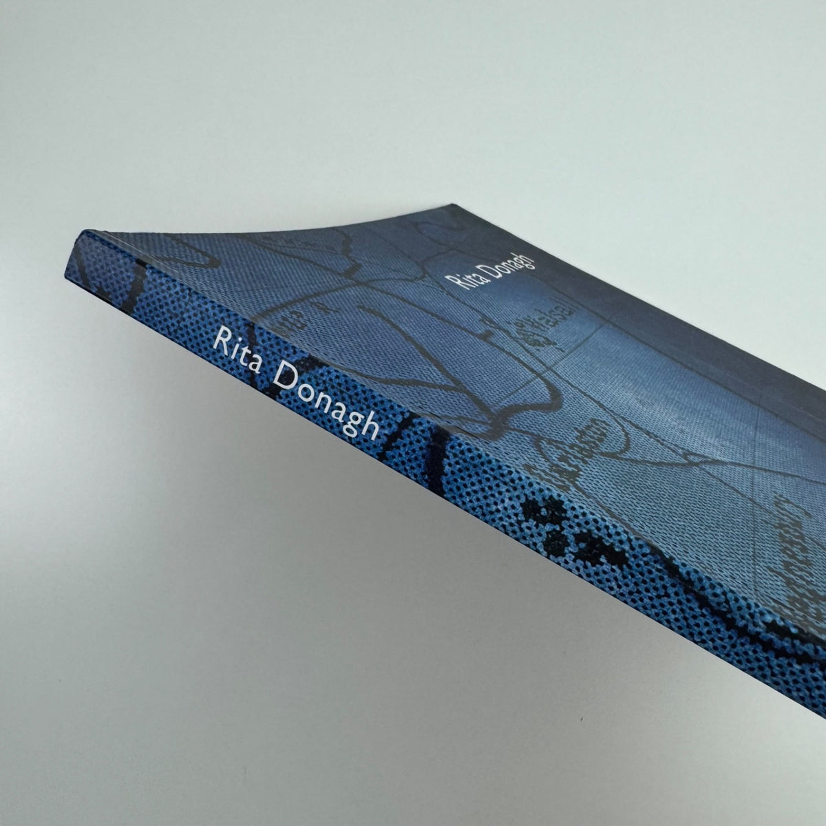 Rita Donagh | Ikon Gallery, Birmingham, 2005