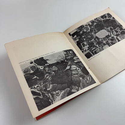 Corneille. First London exhibition | Brook Street Gallery, London, Nov/Dec 1961