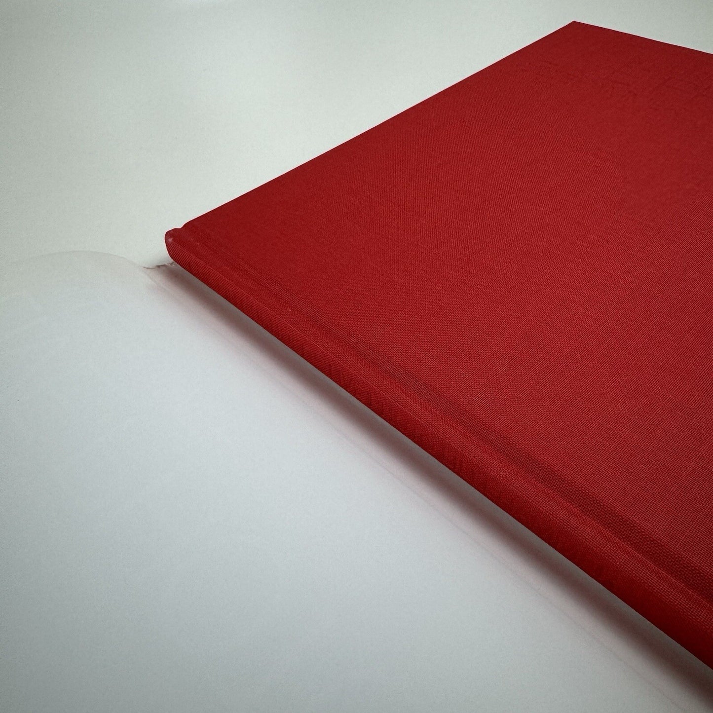 Crispin Gurholt. Live Photo | Lillehammer Kunstmuseum exhibition catalogue, 2012