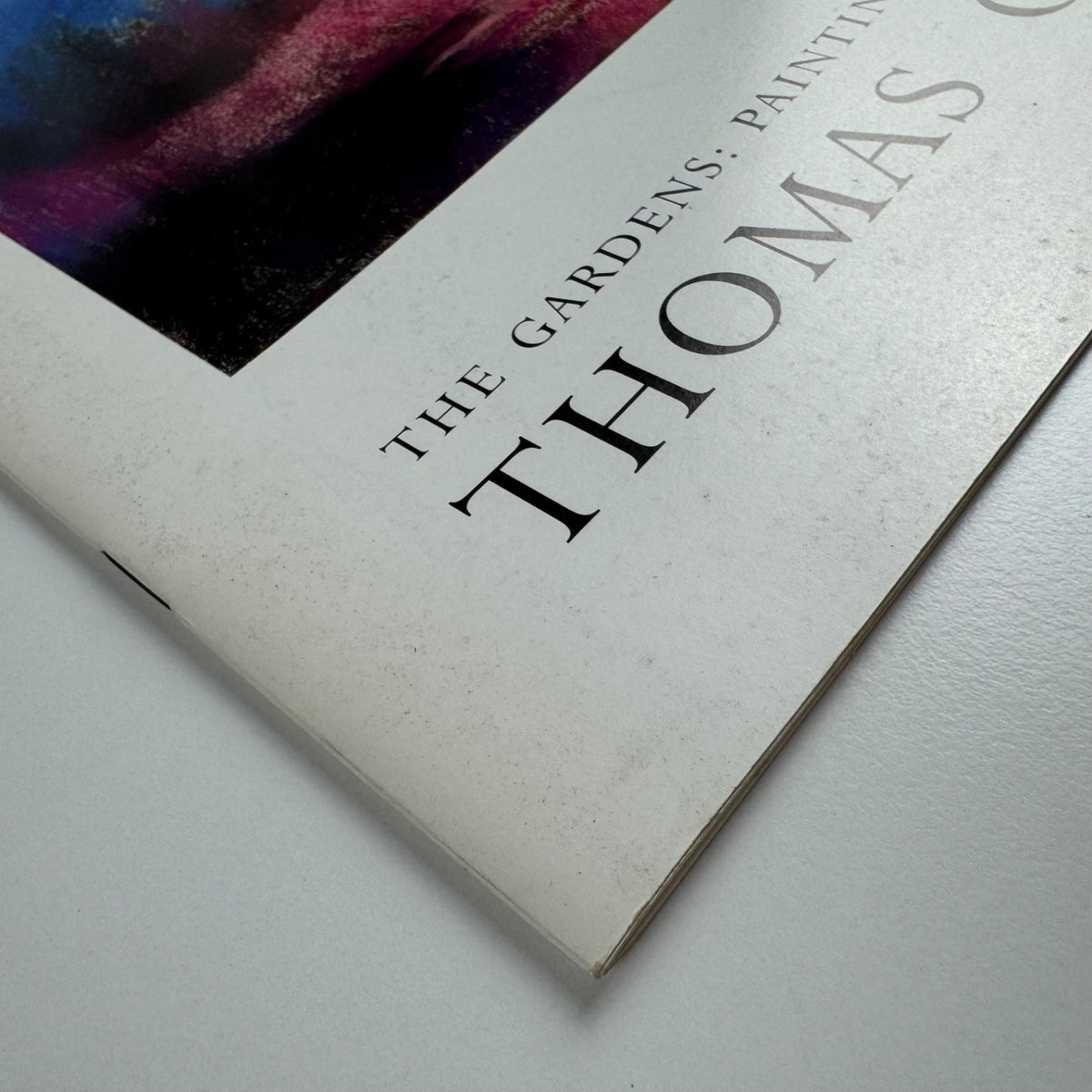 The gardens: paintings and pastels by Thomas George | Hood Museum Dartmouth 1990