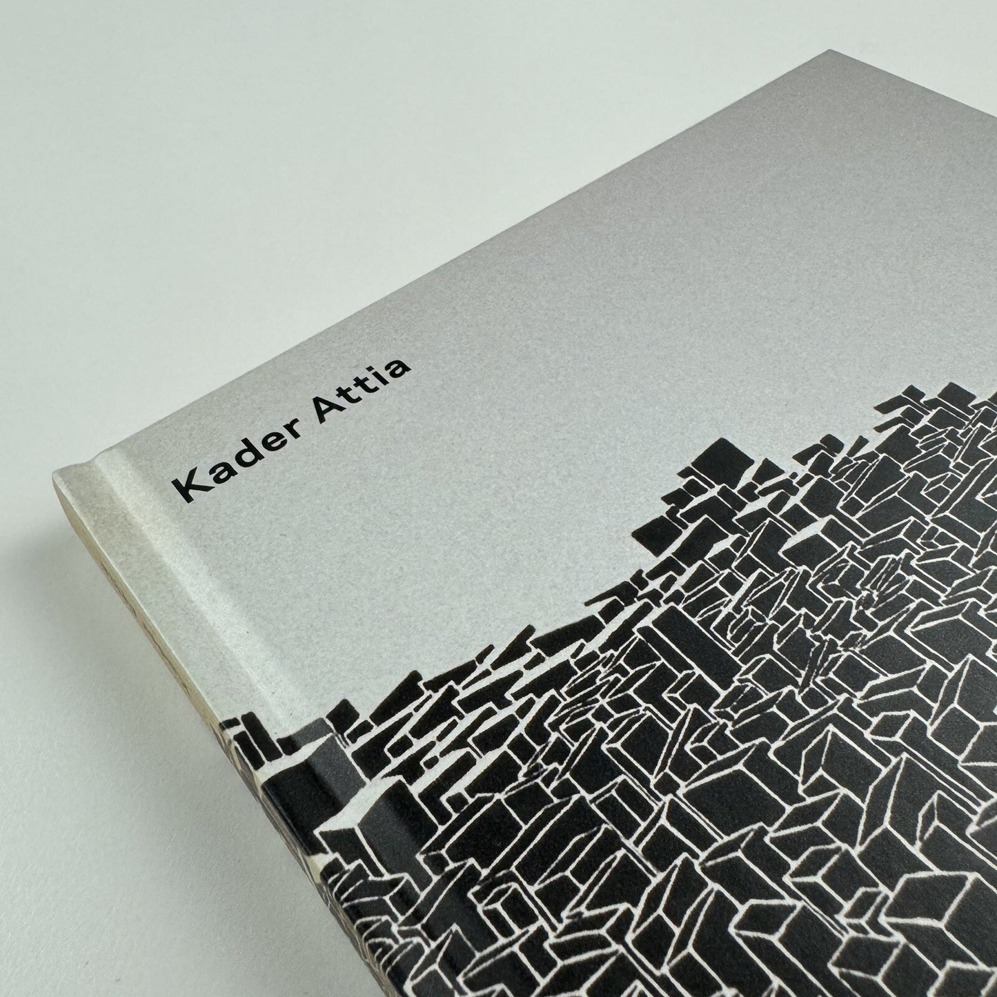 Kader Attia | Musée Art Contemporain, Lyon 2006 catalogue