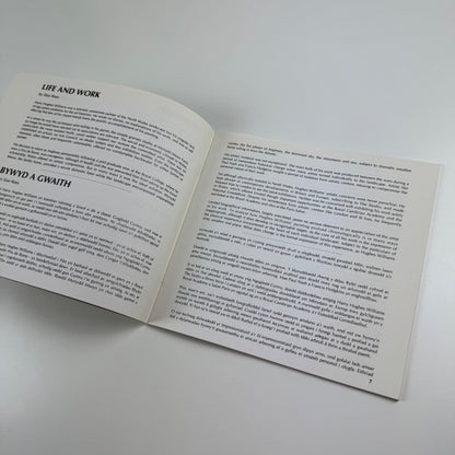 Harry Hughes Williams | Oriel Ynys Môn, 1992