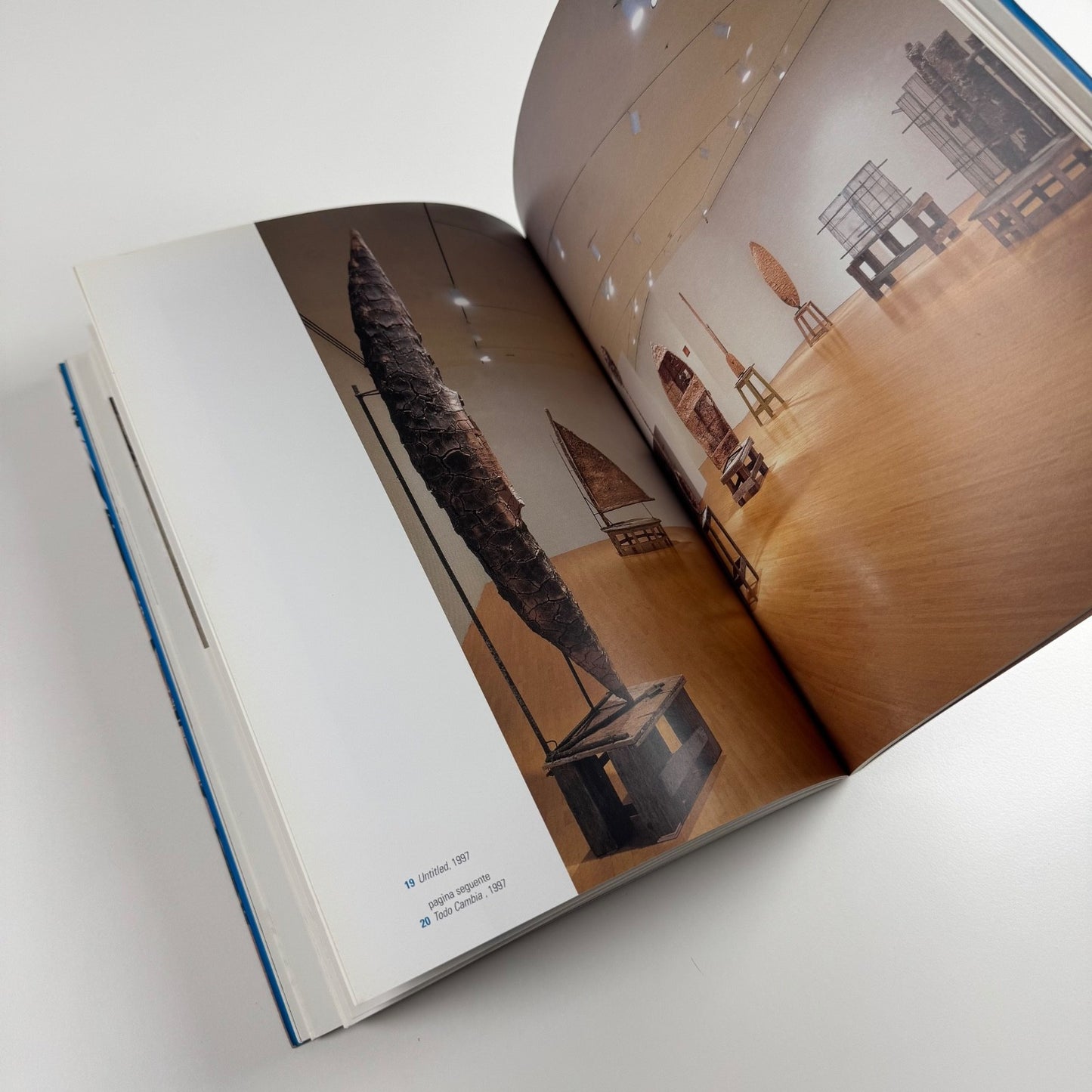 Kcho. La Jungla | GAM Torino, 2002