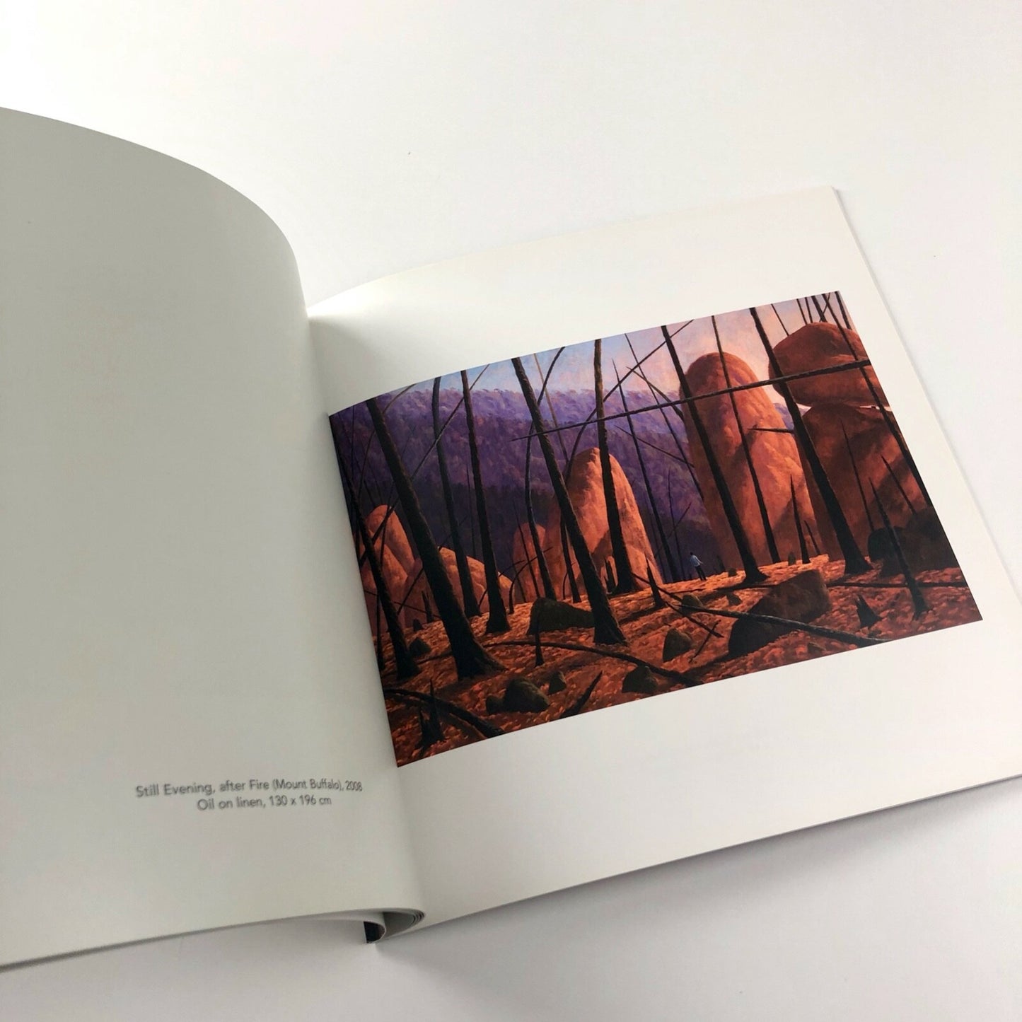 Robert Maclaurin New Paintings 2008 Osborne Samuel catalogue & private view invitation and price list
