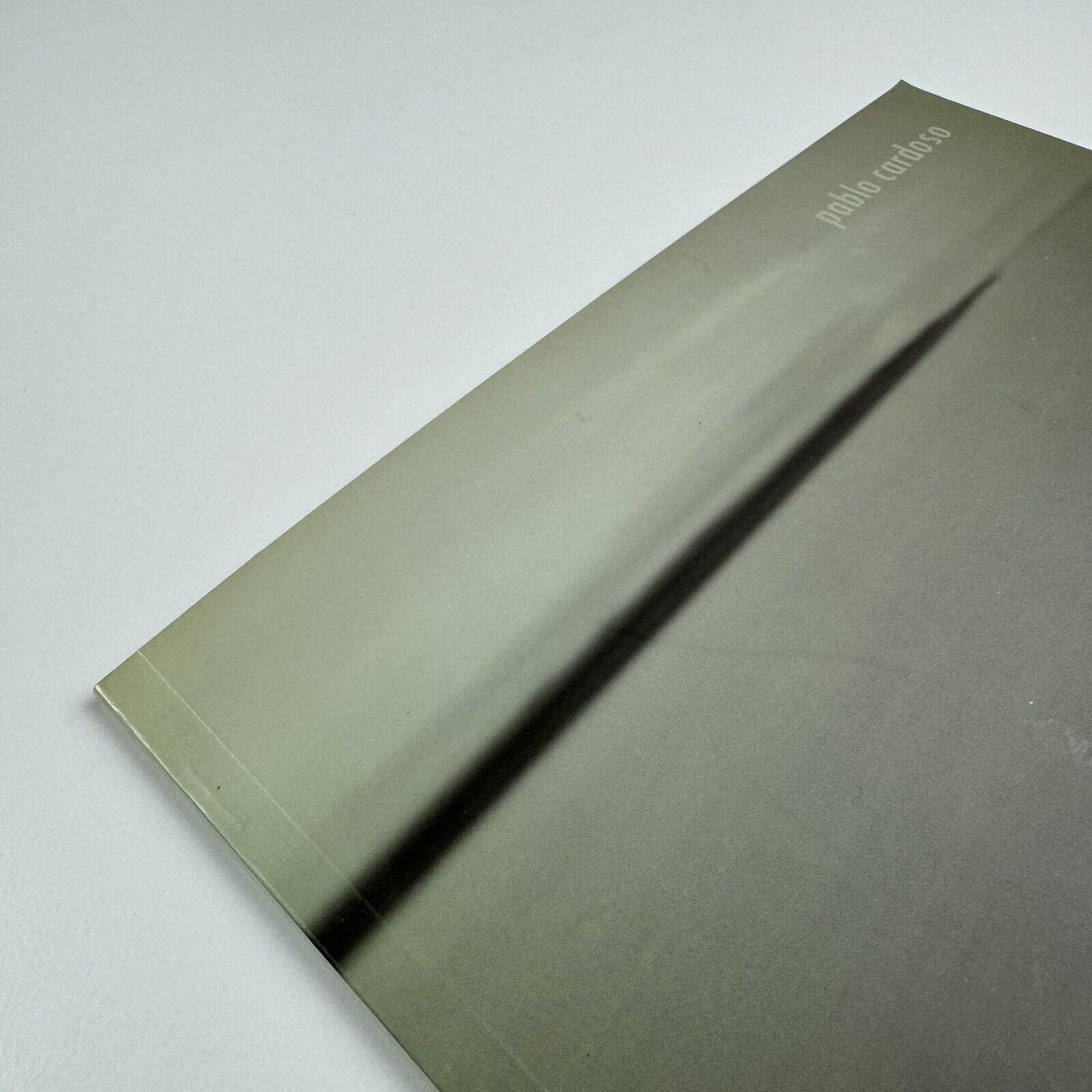 Pablo Cardoso. Traveling Instructions | dpm Gallery USA and Ecuador, 2006