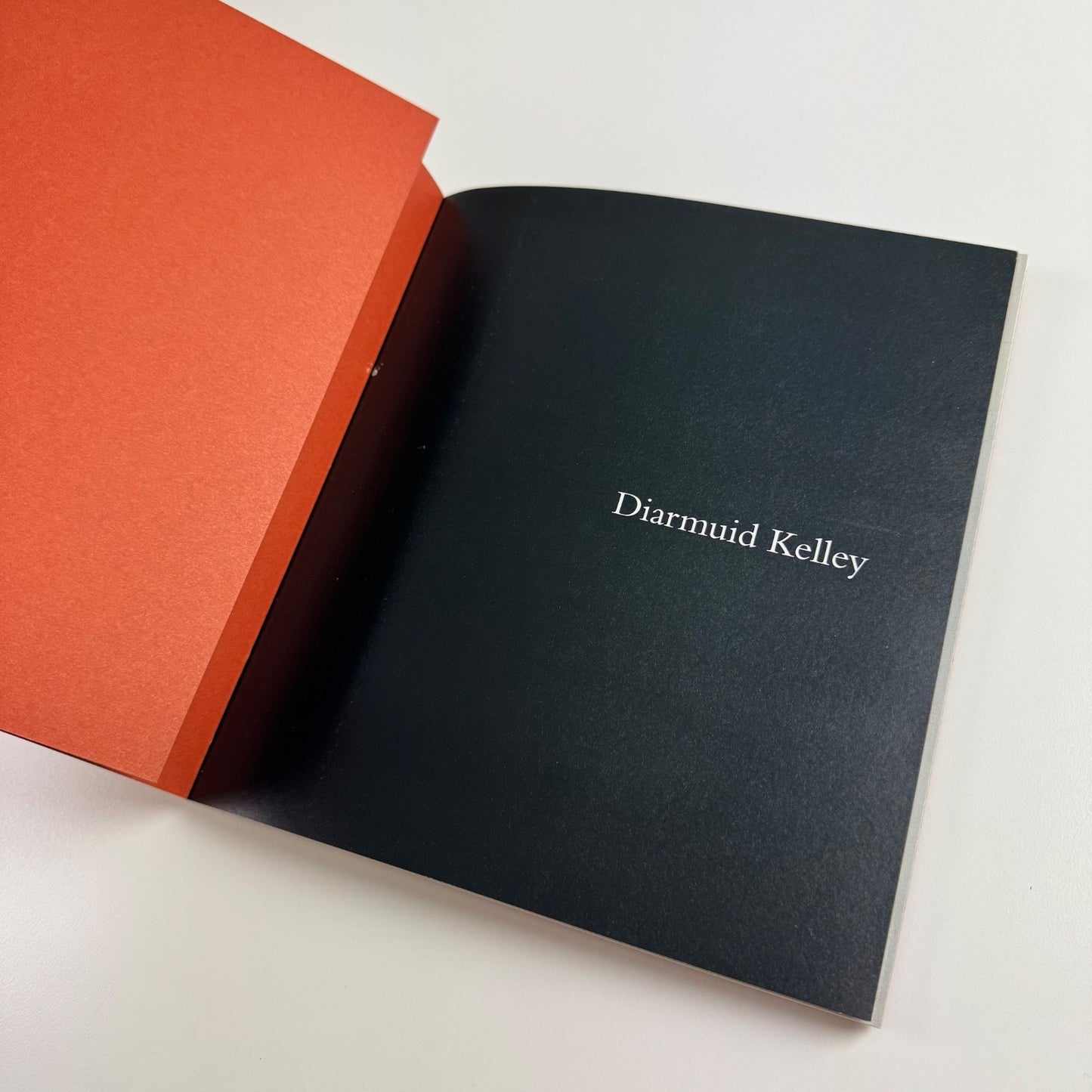 Diarmuid Kelley. All Cats Are Grey | Offer Waterman Gallery, 2014