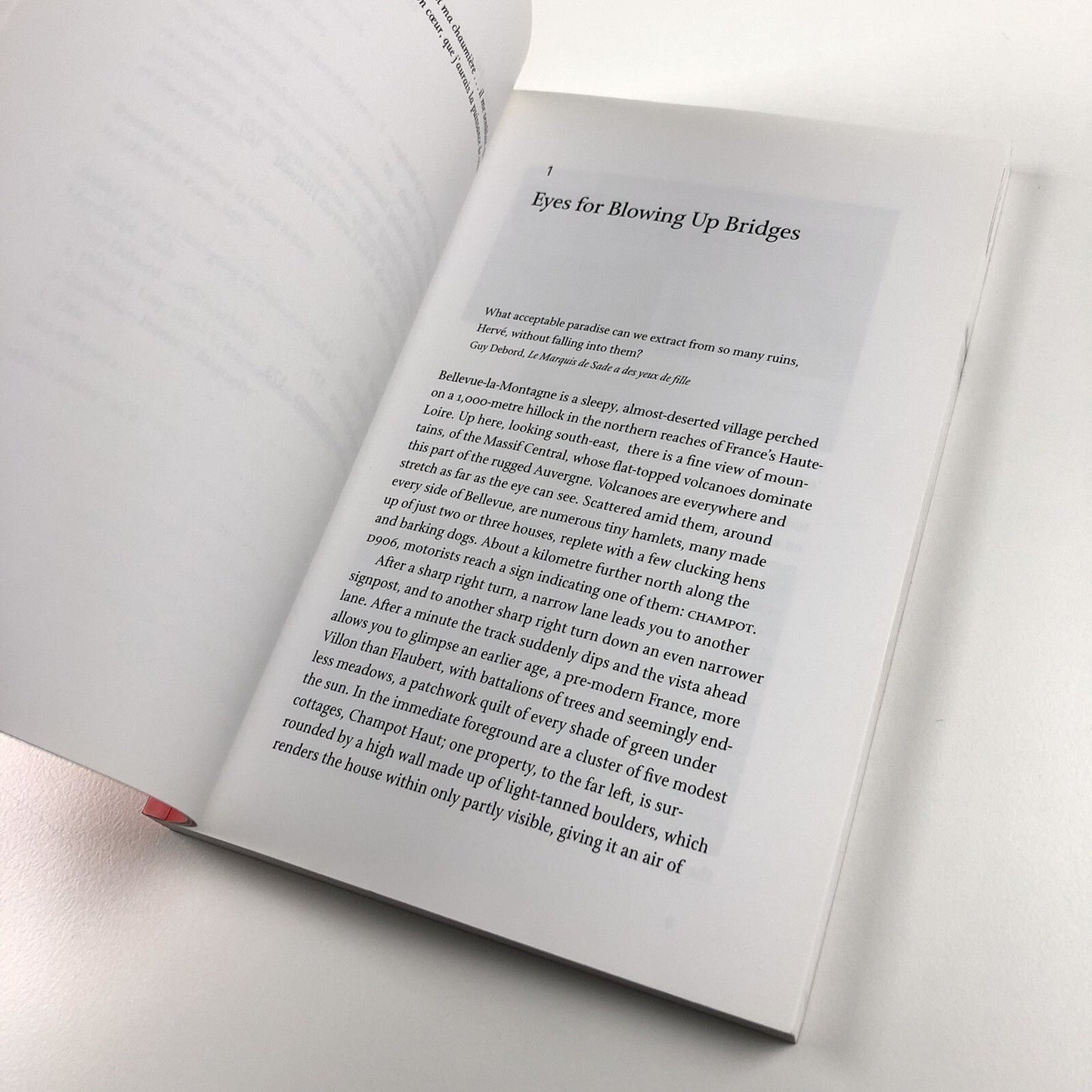Guy Debord by Andy Merrifield. Critical Lives. Reaktion Books, 2005
