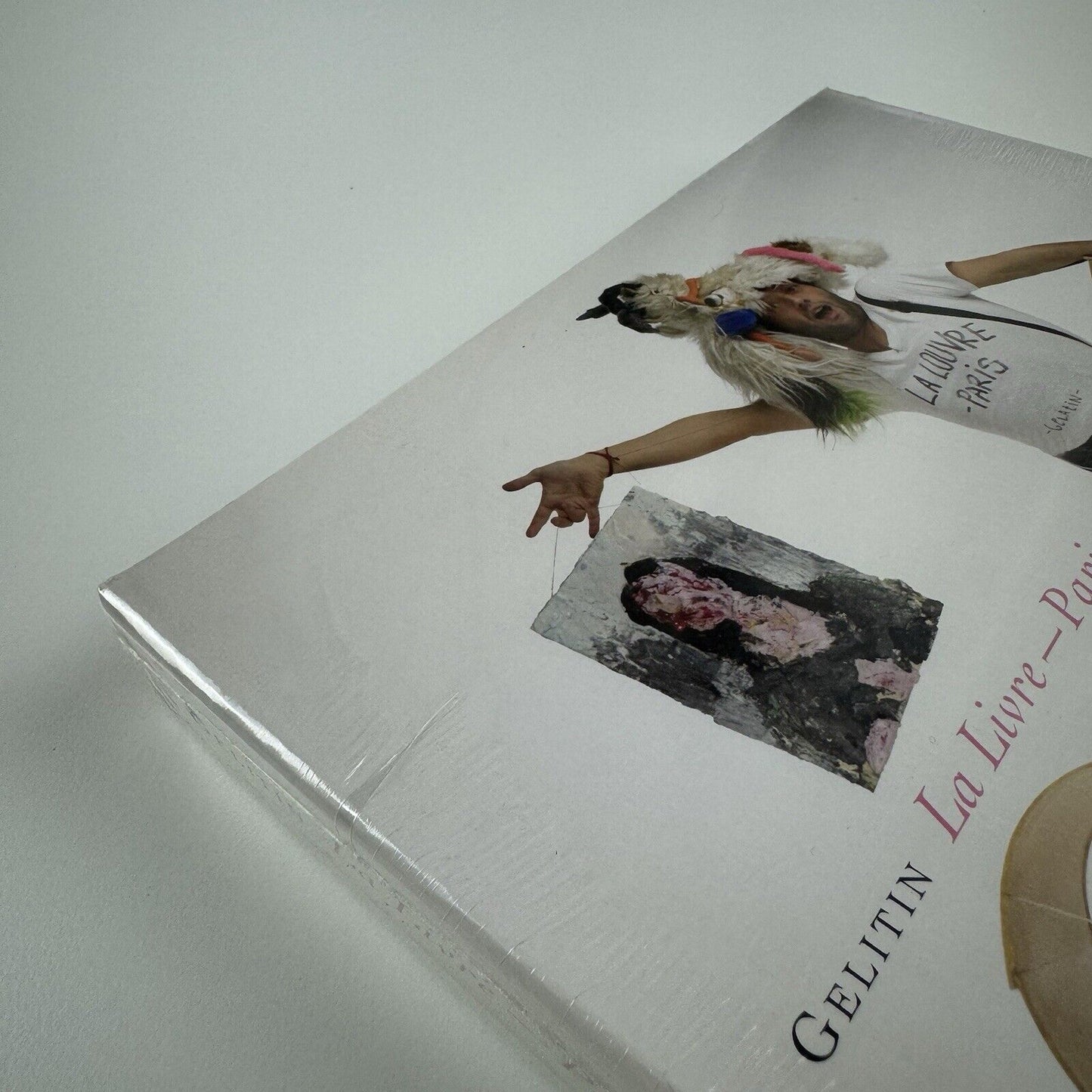 Gelitin La Livre - Paris. Perrotin | Walther König, Cologne, 2011