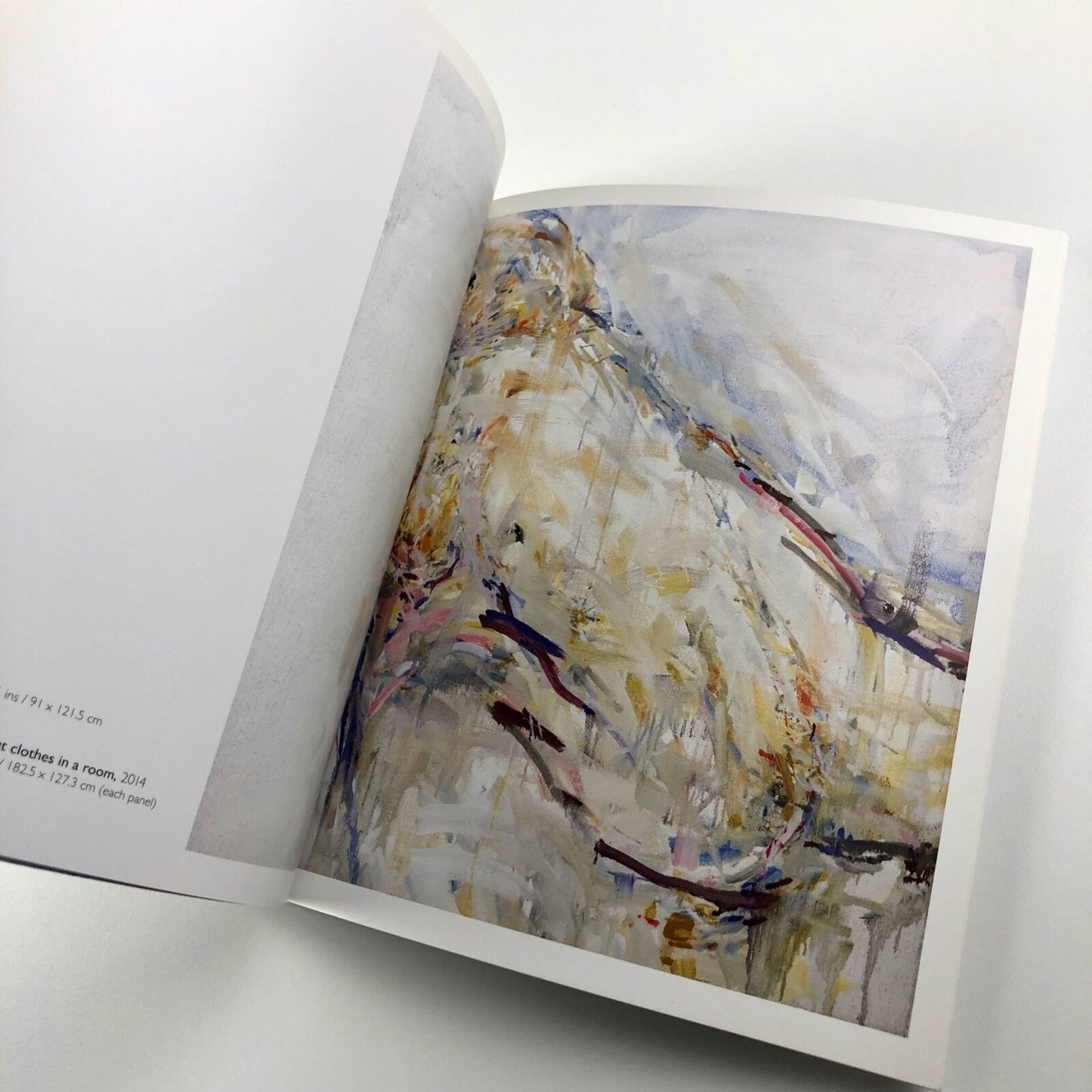 Stephen Finer. Merlyn Driver recording & other paintings | Art Space Gallery catalogue, 2015