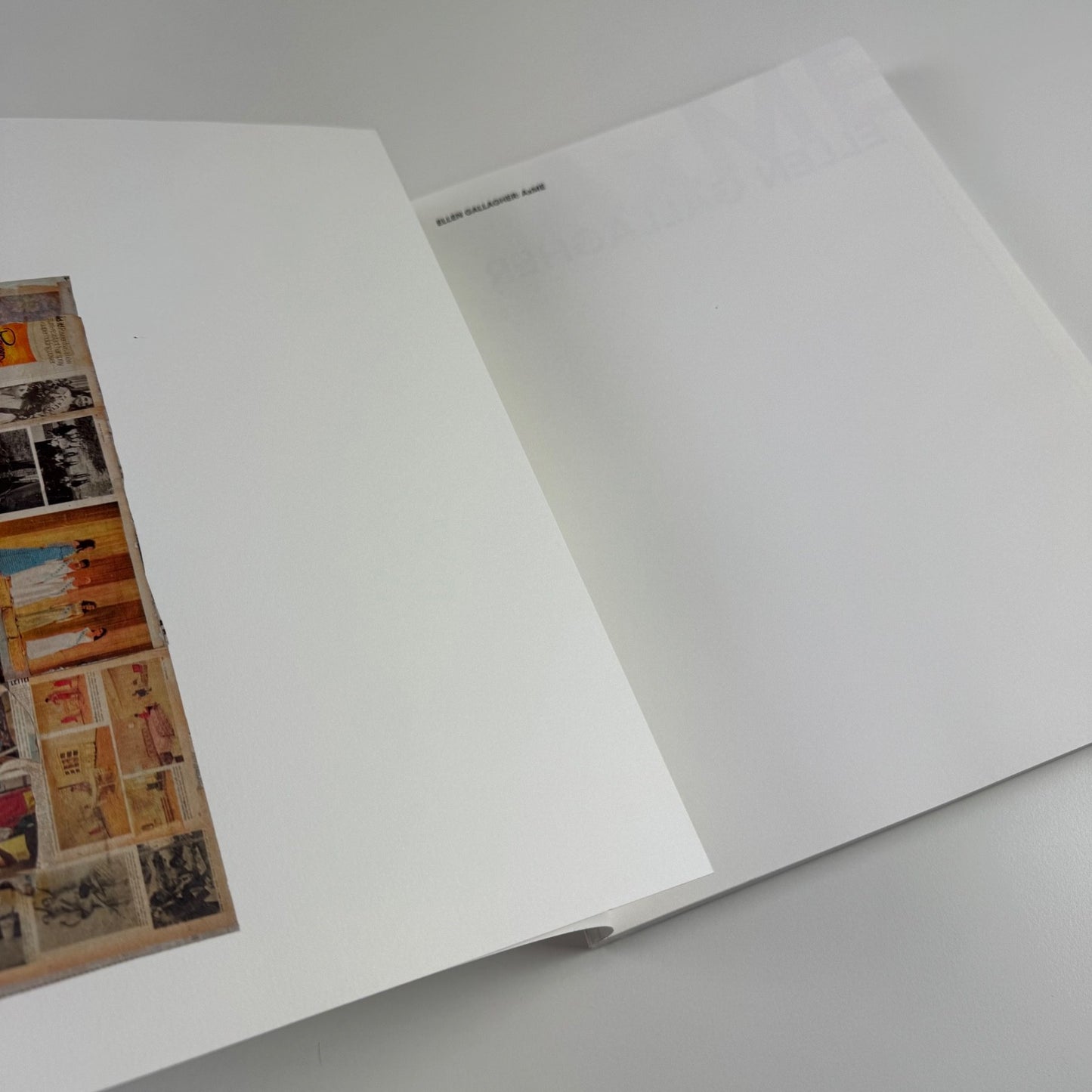 Ellen Gallagher: AxME | Tate, 2013/14
