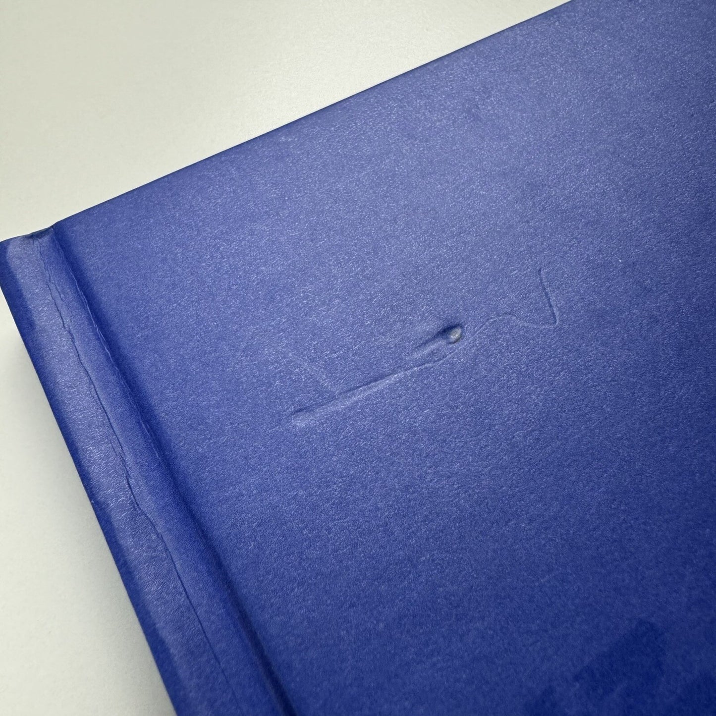Blue Room. Yang Shao Bin | Ullens Center for Contemporary Art in Beijing, 2010 catalogue