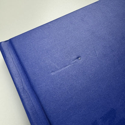 Blue Room. Yang Shao Bin | Ullens Center for Contemporary Art in Beijing, 2010 catalogue