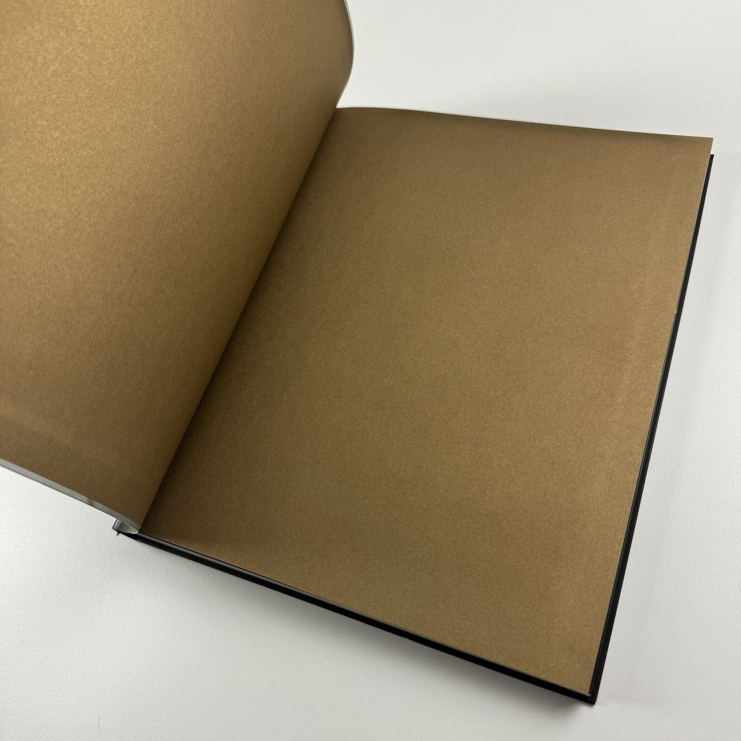 The Age of the Marvellous | One Marylebone Road | All Visual Arts catalogue, 2009 | Text by Joe Le Placa and John Paul Pryor
