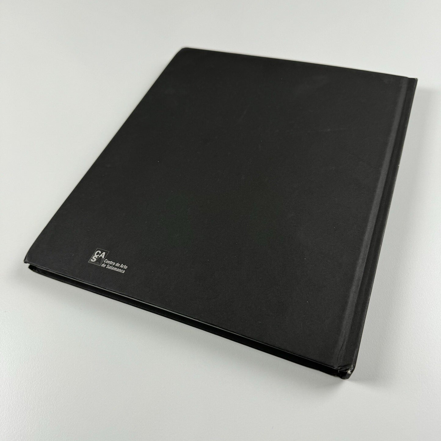 Luc Tuymans. Display | Helsinki Kunsthalle and Centro de Arte de Salamanca | 2003-04 exhibition catalogue