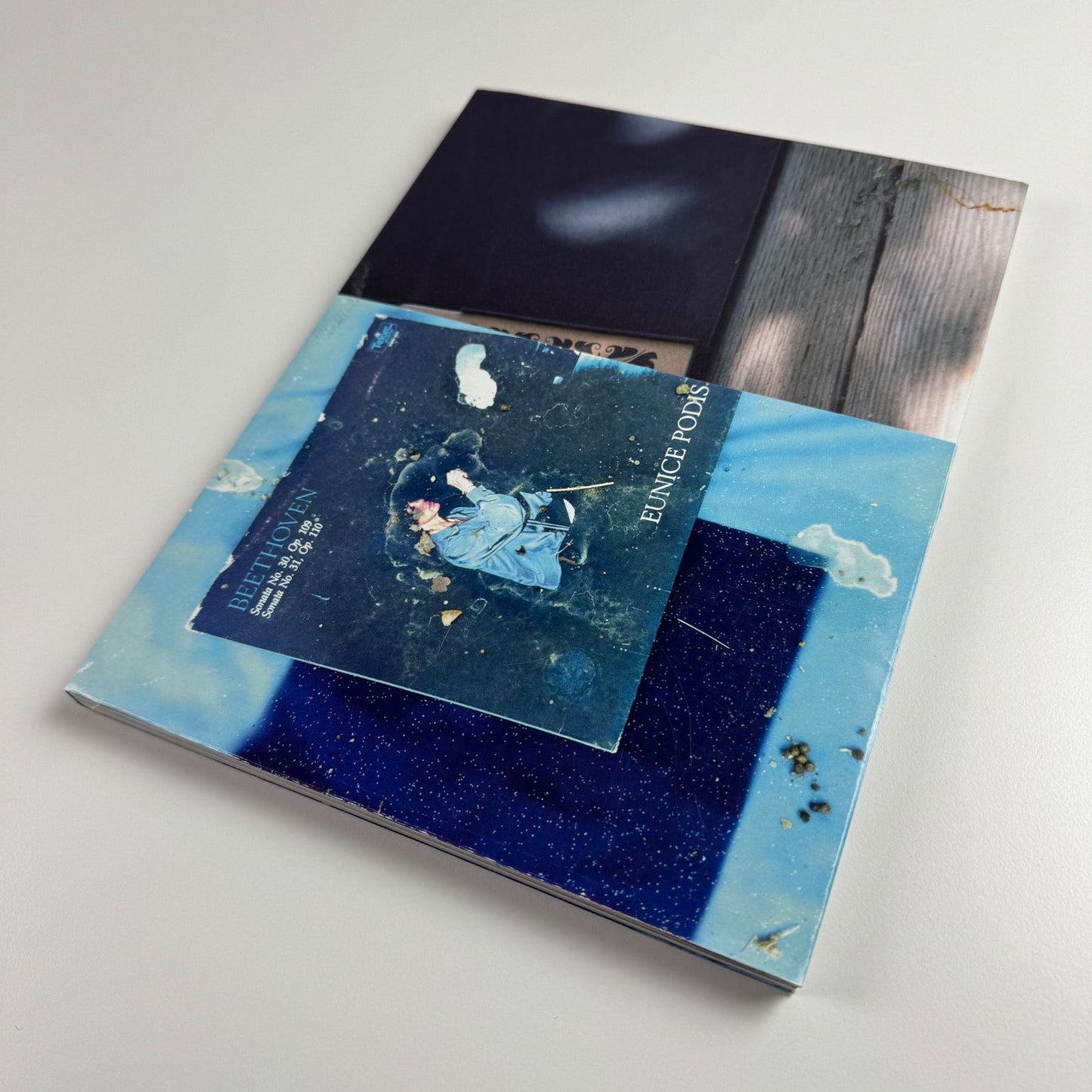 The Seasons Sam. Four Forever Falls Nicolas Trembley Flash Art Books, 2000
