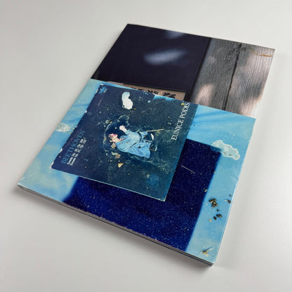 The Seasons Sam. Four Forever Falls Nicolas Trembley Flash Art Books, 2000