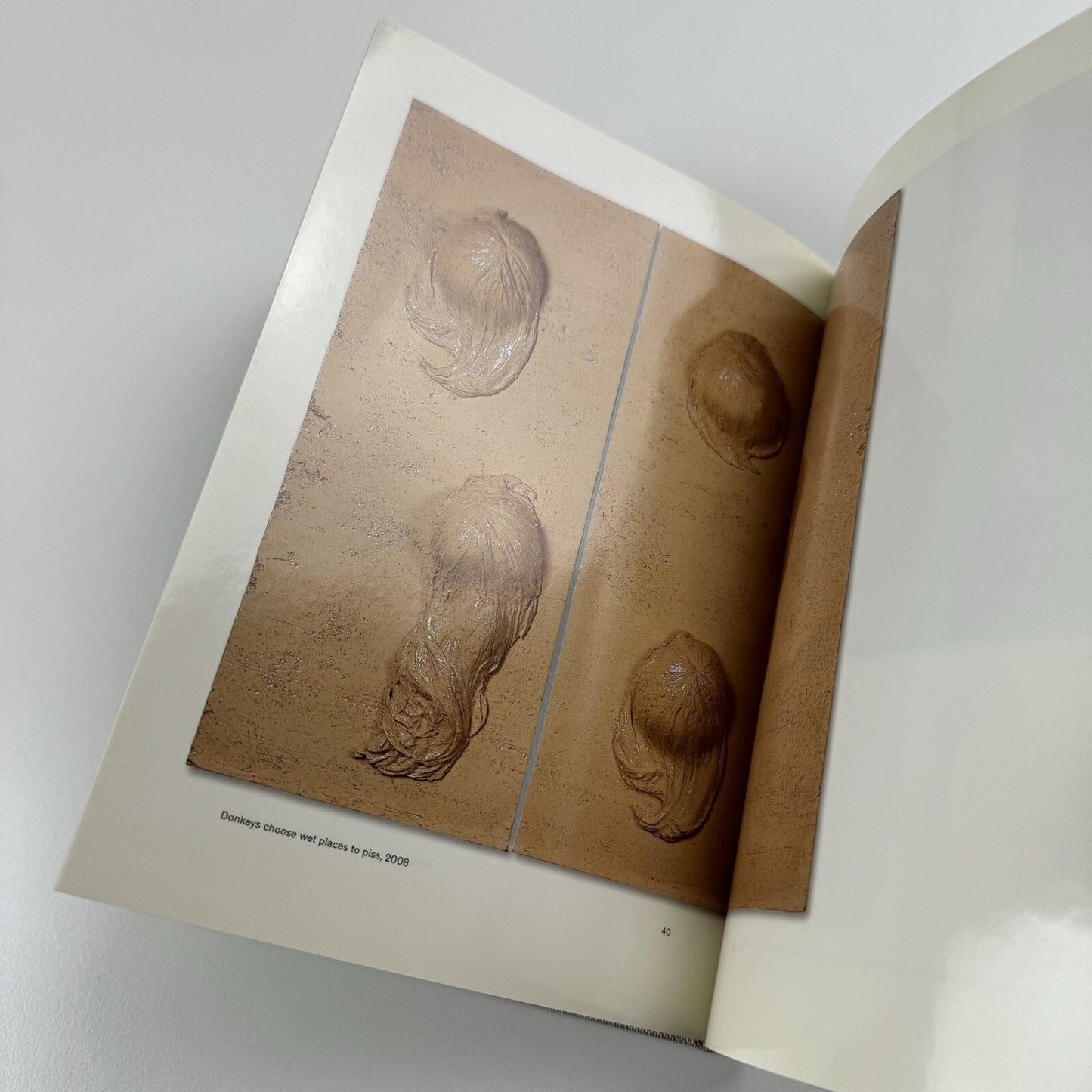 Mai-Thu Perret: 2012 | Timothy Taylor Gallery, London 2008 catalogue
