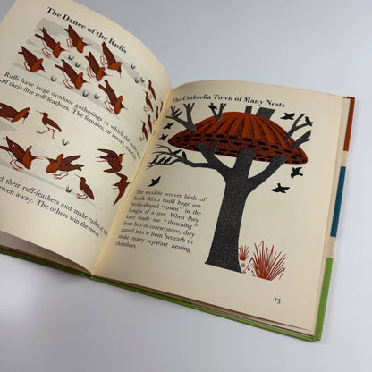 The Wonder World of Birds by Marie Neurath | Max Parrish, 1953 Isotype Institute