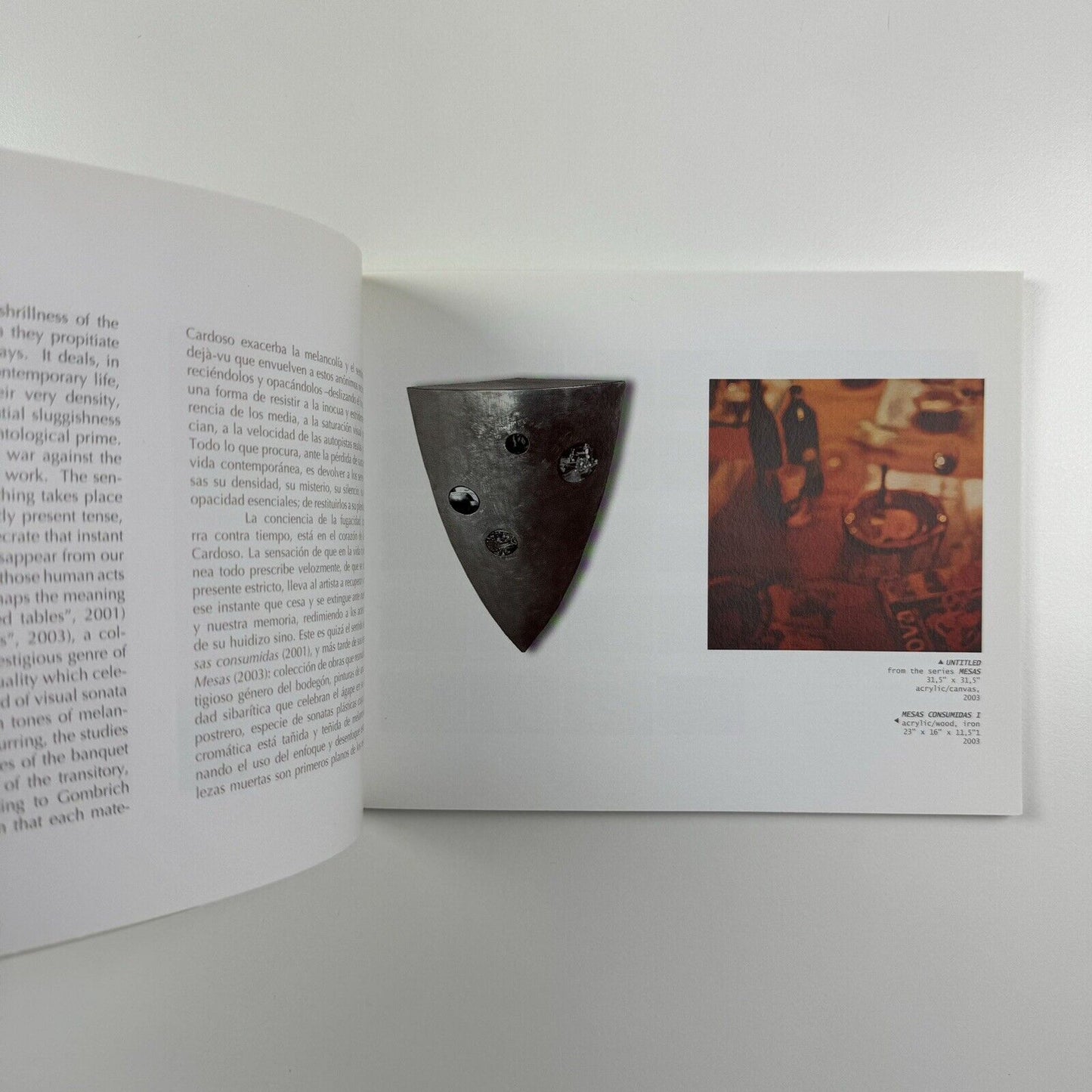 Pablo Cardoso. Traveling Instructions | dpm Gallery USA and Ecuador, 2006
