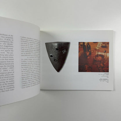Pablo Cardoso. Traveling Instructions | dpm Gallery USA and Ecuador, 2006