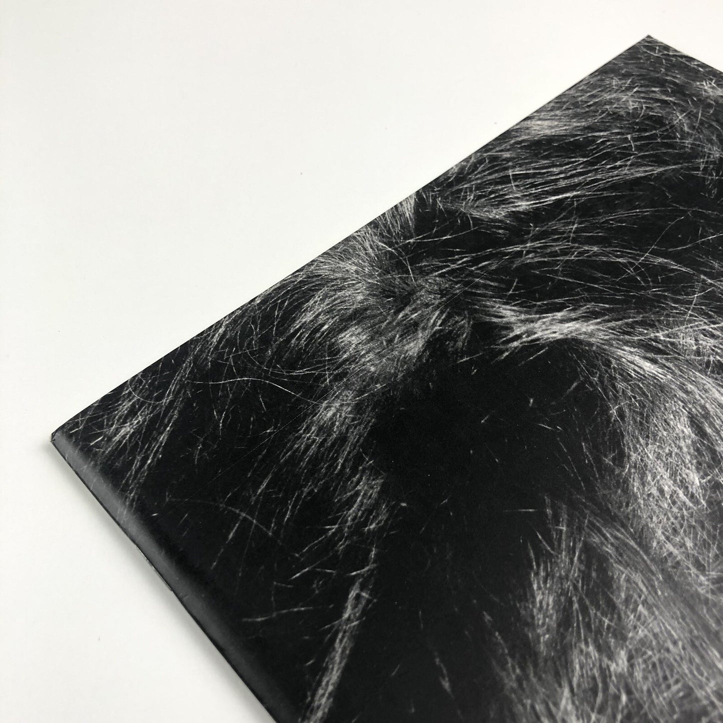 Andrea Fisher – Gimpel Fils exhibition catalogue, 1994