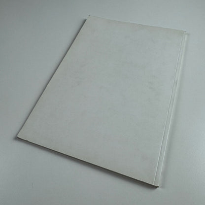 Soto. Die Poesie der Energie | Galerie am Lindenplatz, 1999