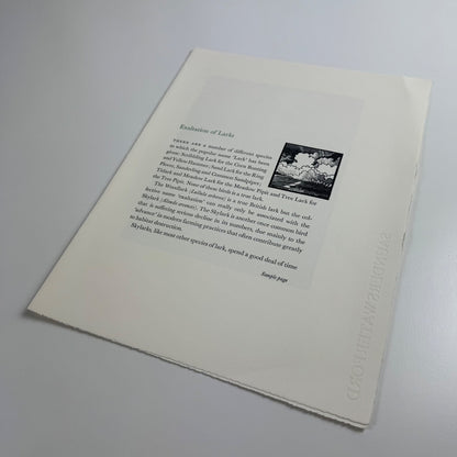 Prospectus for Exaltation of Larks | Of a Feather by Colin See-Paynton | Gregynog Press, 2008