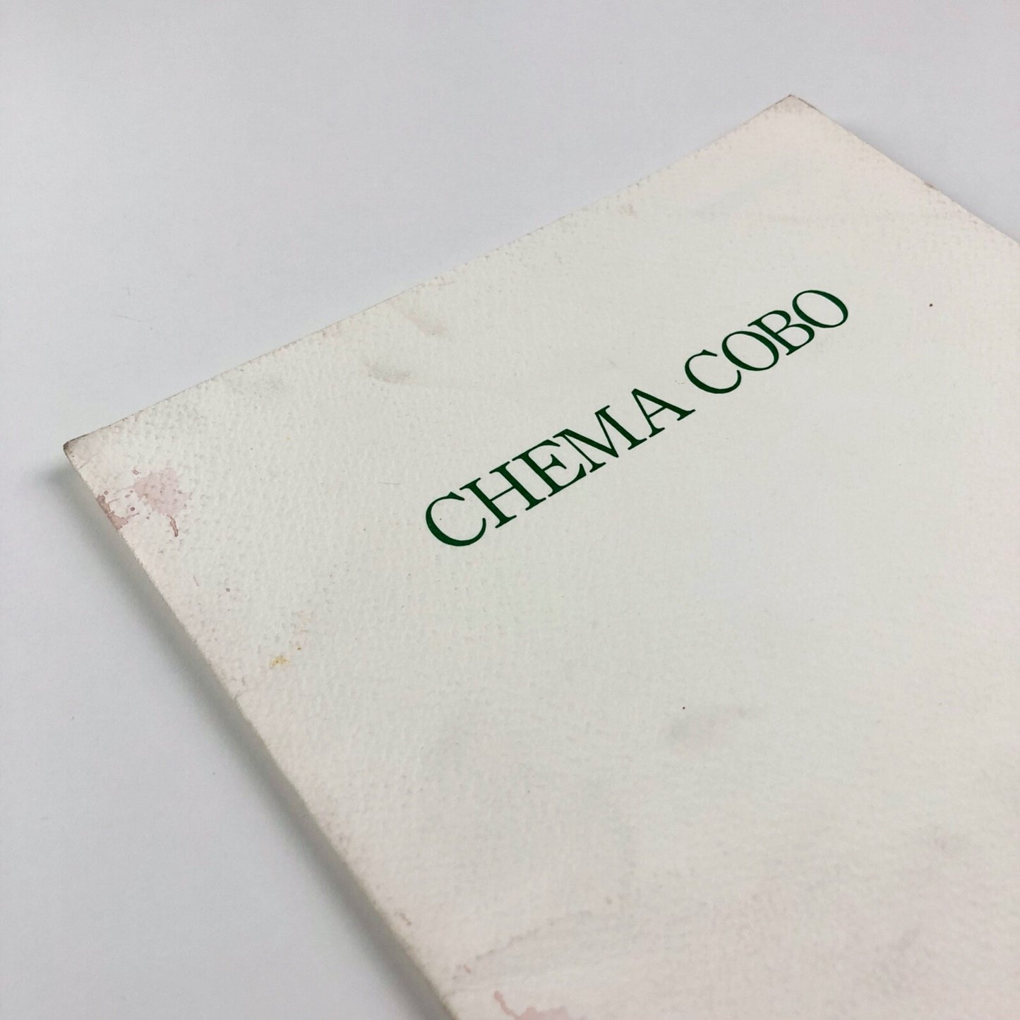 Chema Cobo | Akira Ikeda Gallery Nagoya Japan catalogue, October 1986