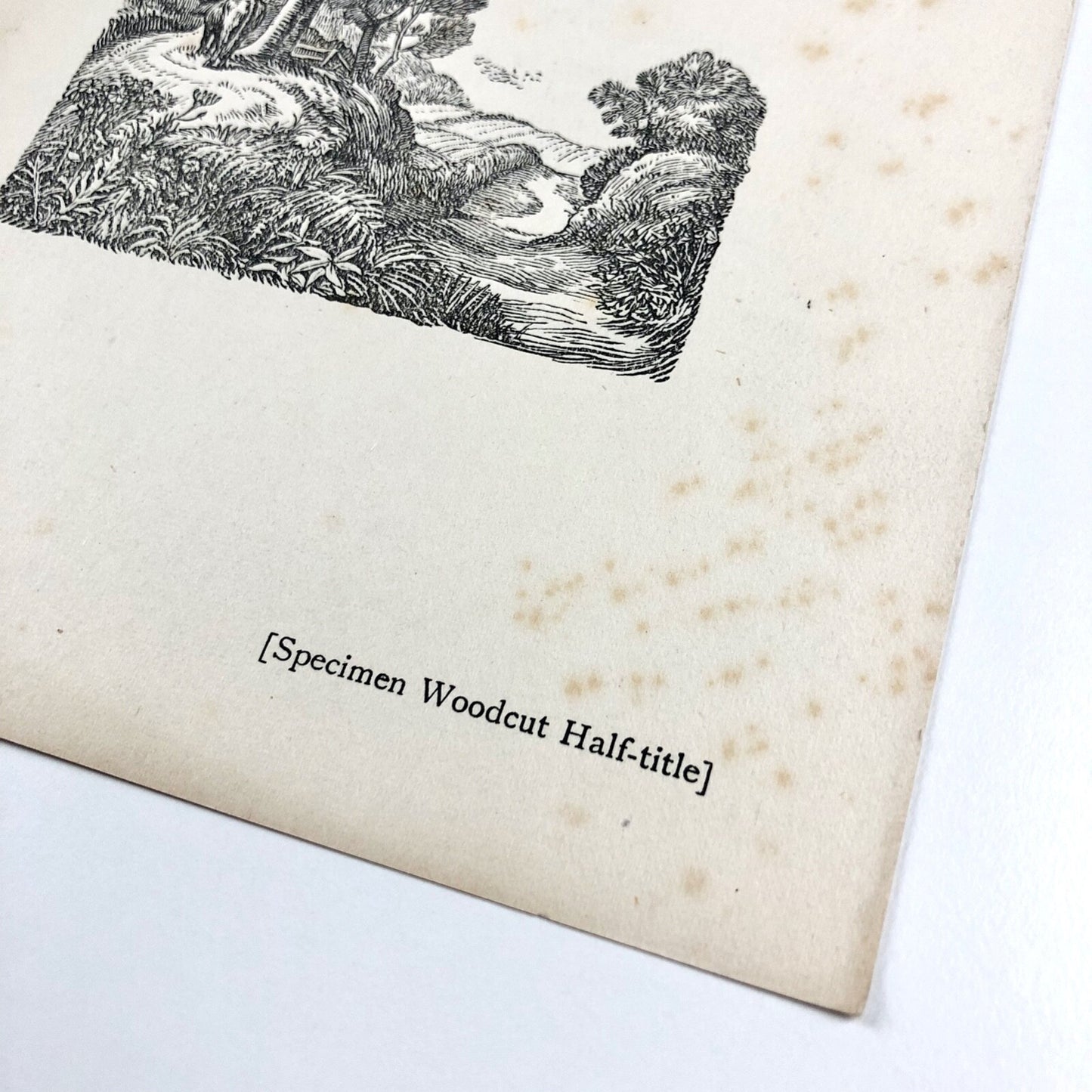 Prospectus for Madrigals & Chronicles by John Clare | The Beaumont Press c.1924