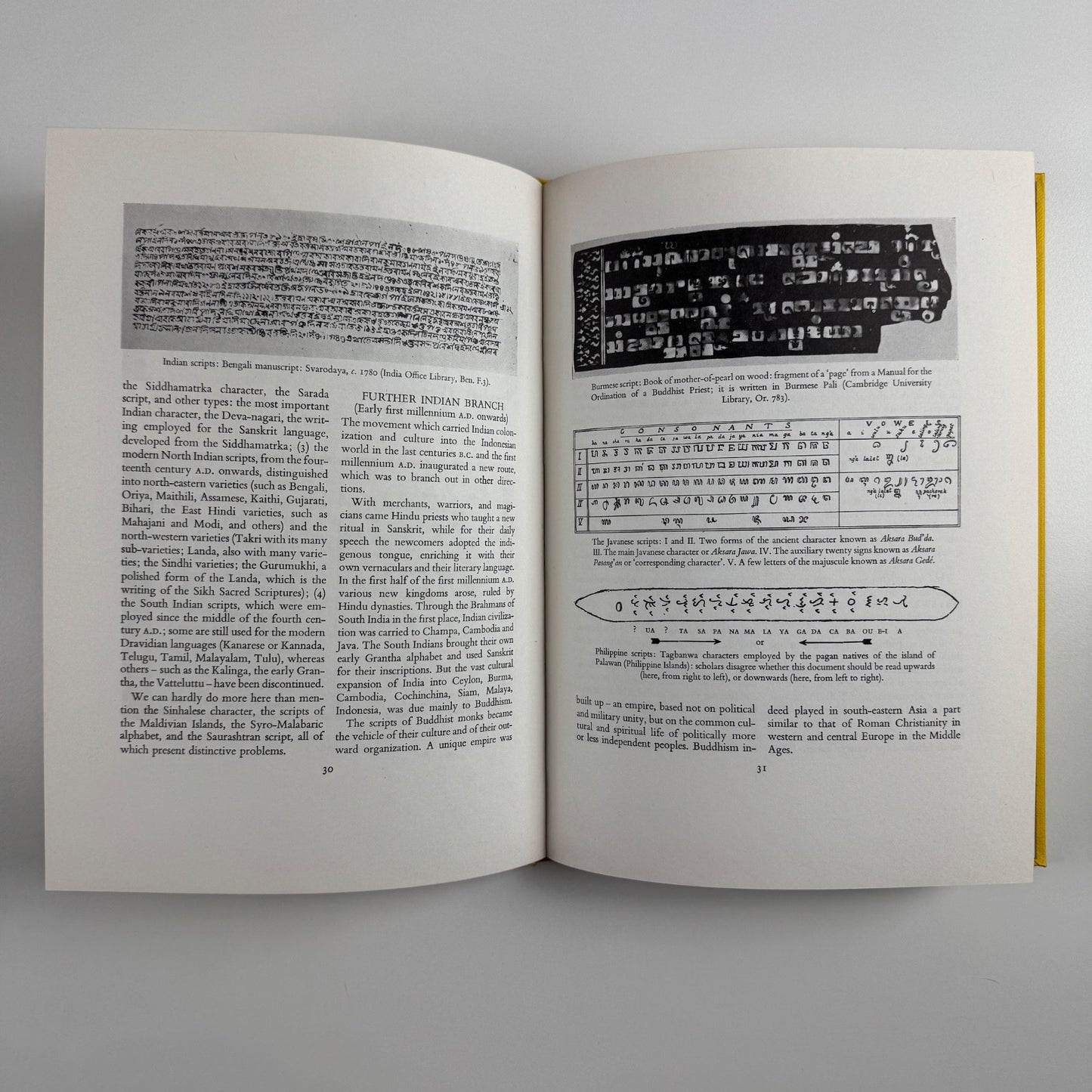 A history of the alphabet throughout the ages by David Diringer | Gresham Books 1983