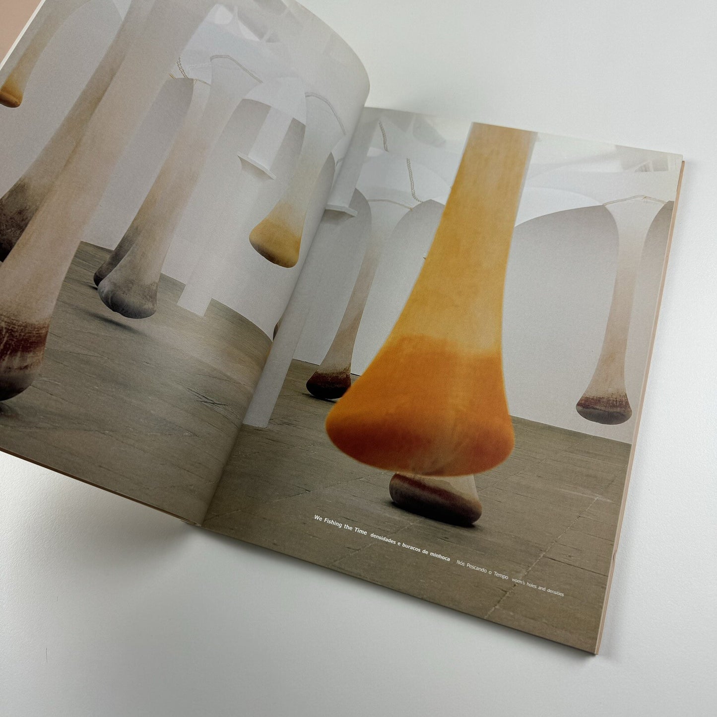 Ernesto Neto. naves, céus, sonhos | Galeria Camargo Vilaça catalogue, 1999