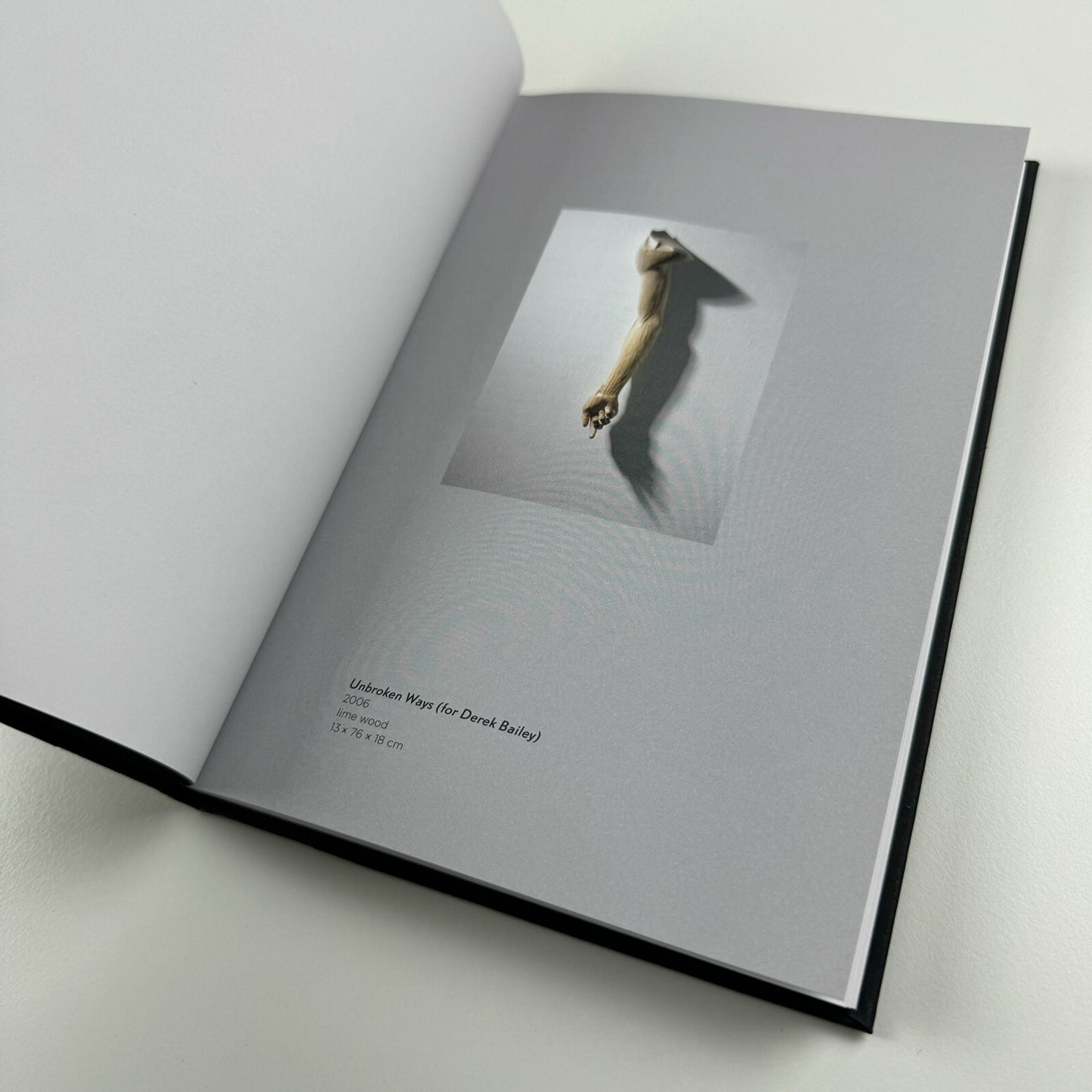 Ricky Swallow | Douglas Hyde Gallery Dublin, 2007 exhibition catalogue