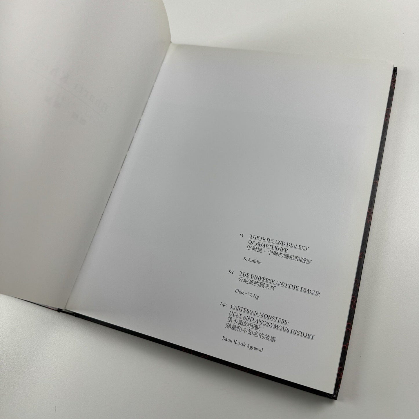 Bharti Kher – Blind, eyes open | Galerie Perrotin 2012 catalogue