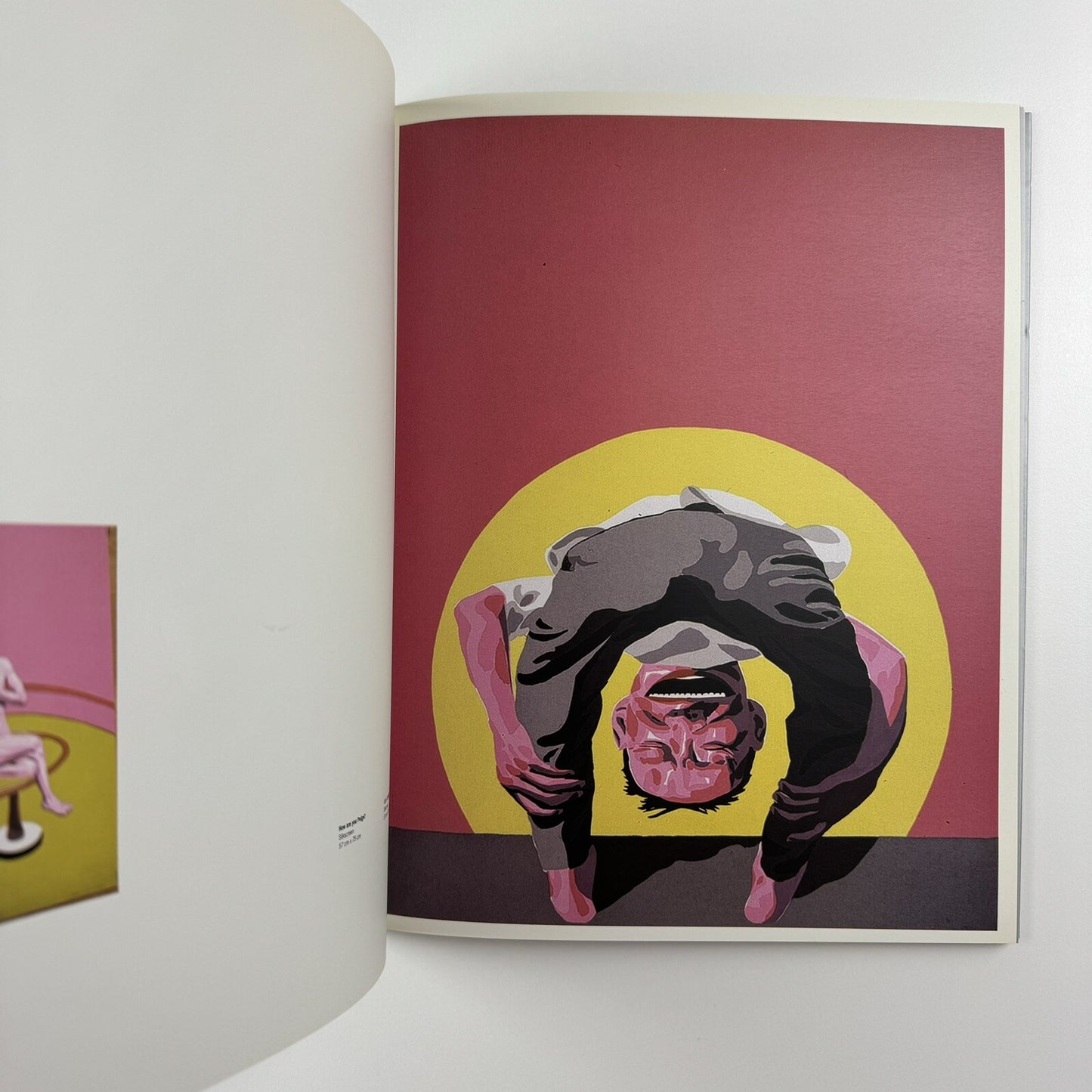 Dream 2001. Contemporary Chinese Art Exhibition | The Red Mansion catalogue, 2001