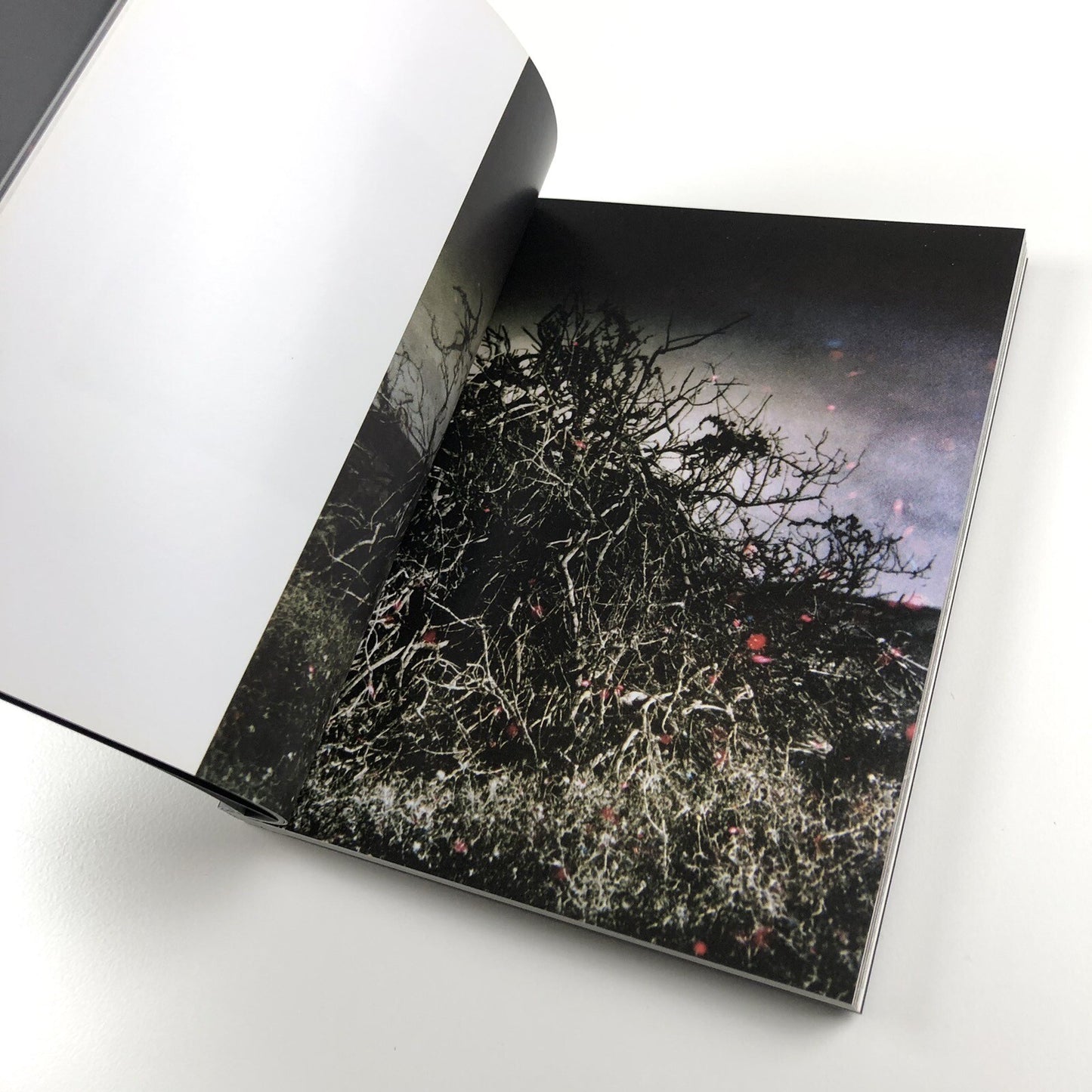 Helen Sear – Tale by David Chandler | Contemporary Temporary Artspace, 2009