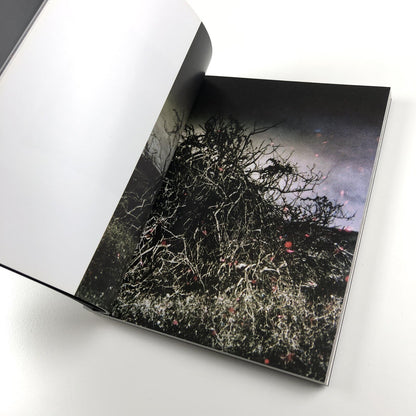 Helen Sear – Tale by David Chandler | Contemporary Temporary Artspace, 2009