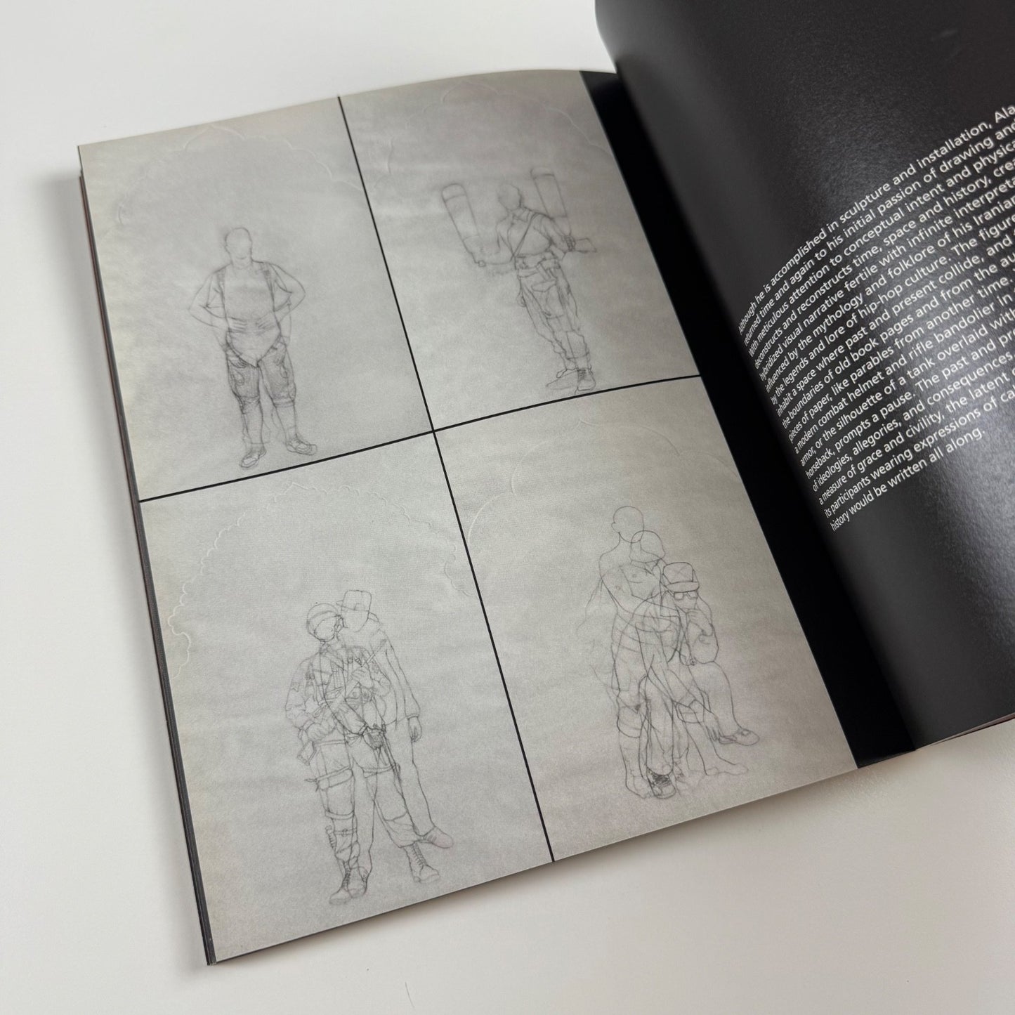The Elephant in the Dark | Delvi Art Foundation, New Delhi, 2012 curated by Amirali Ghasemi