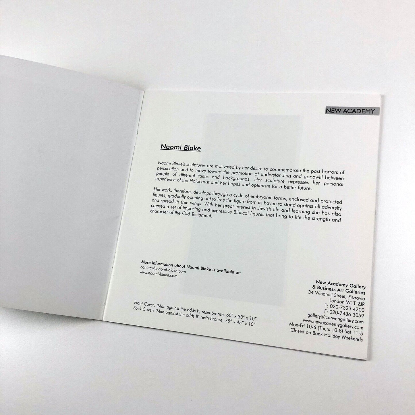 Naomi Blake sculpture | New Academy Gallery & Business Art Galleries catalogue booklet, 2002