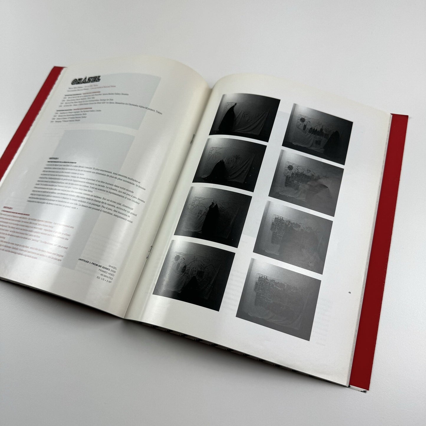 Raad o Bargh: 17 Artists from Iran | Galerie Thaddaeus Ropac, 2009 exhibition catalogue